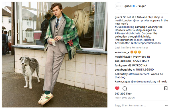 Harry Styles er nytt ansikt utad for Gucci
