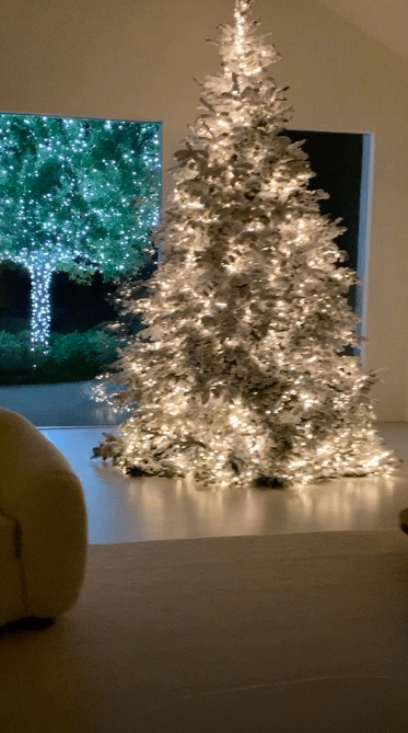Juletrepynten til familien er av den minimale sorten.